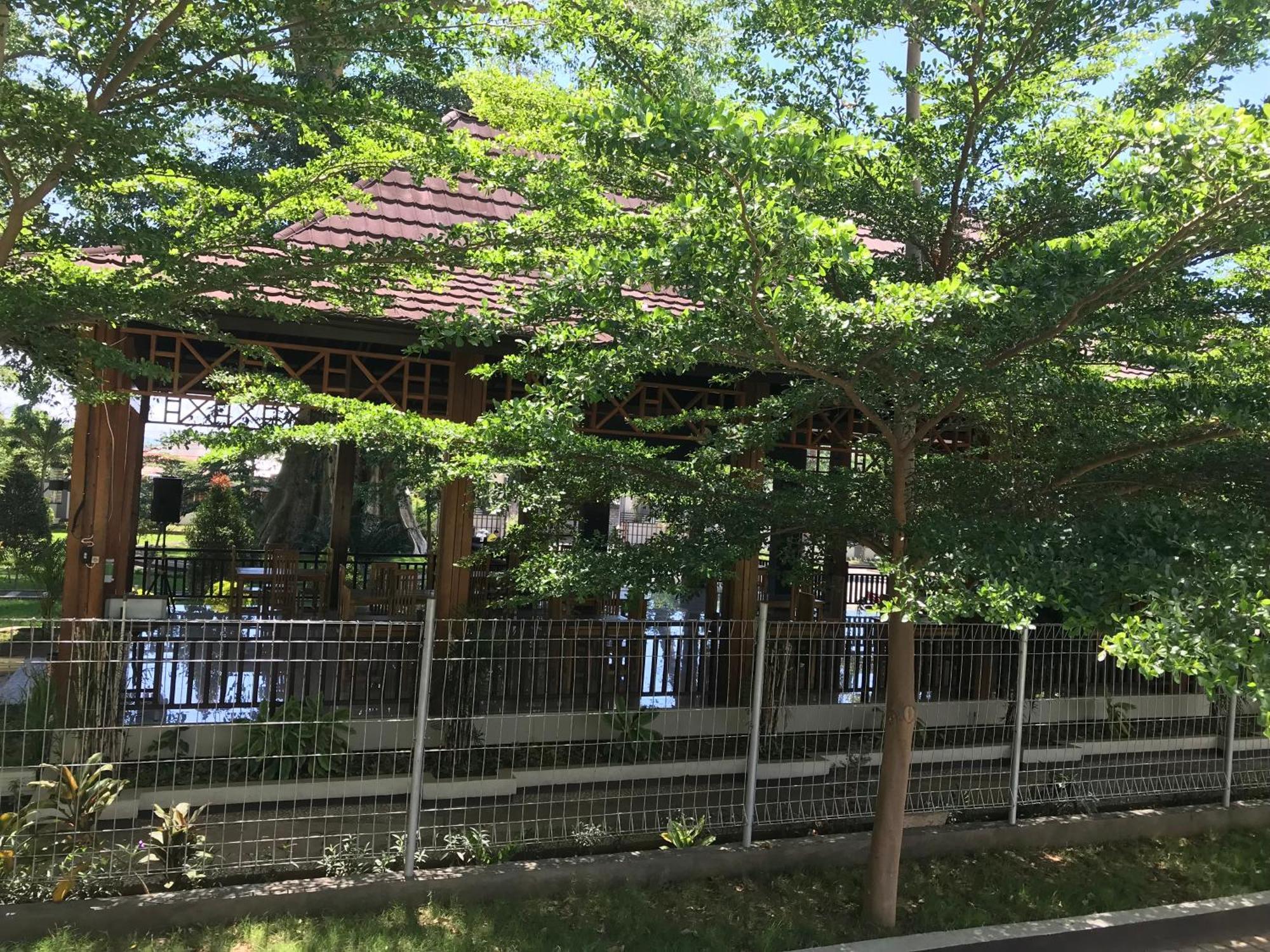 Pohon Purba Resort & Restaurant Labuhan Pandan エクステリア 写真
