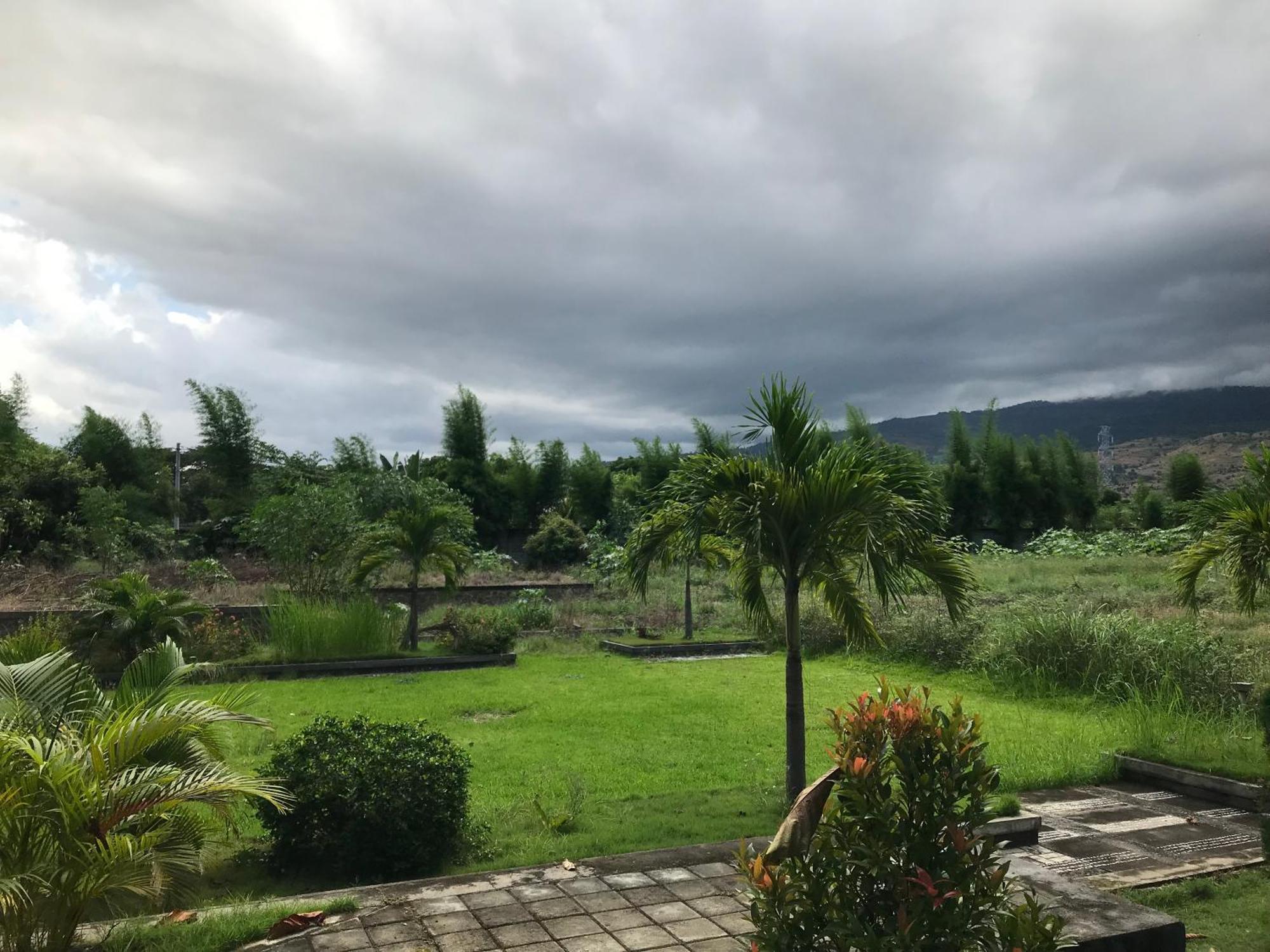 Pohon Purba Resort & Restaurant Labuhan Pandan エクステリア 写真