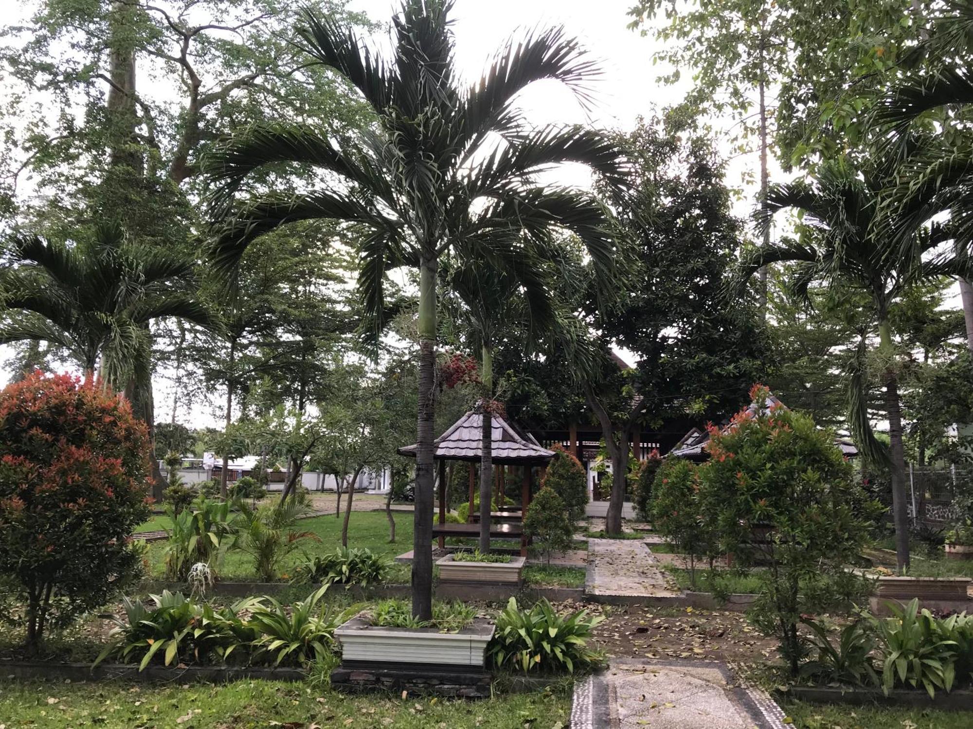 Pohon Purba Resort & Restaurant Labuhan Pandan エクステリア 写真