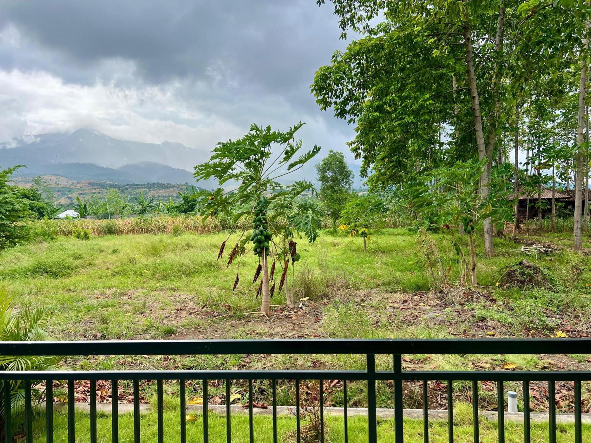 Pohon Purba Resort & Restaurant Labuhan Pandan エクステリア 写真