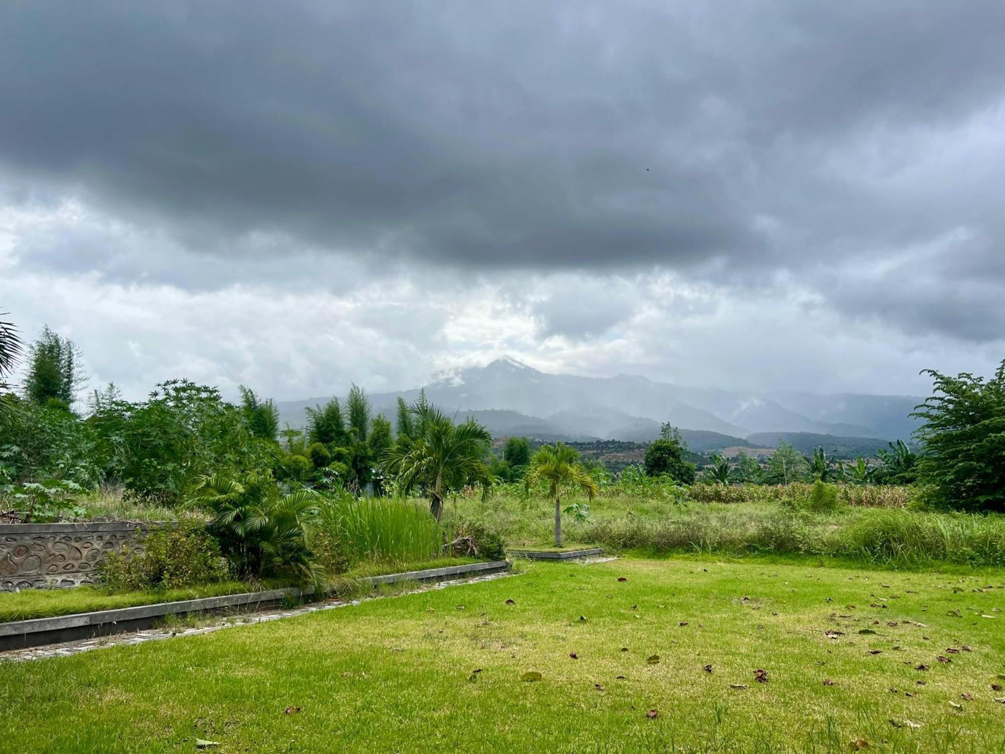 Pohon Purba Resort & Restaurant Labuhan Pandan エクステリア 写真